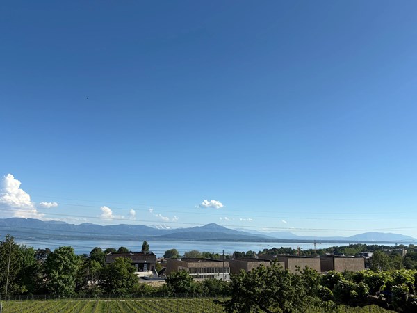 Mont-sur-Rolle, Canton de Vaud