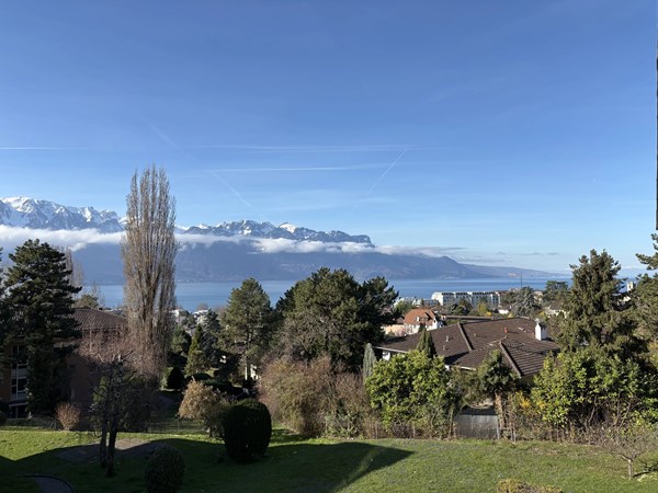 Vevey, Canton de Vaud