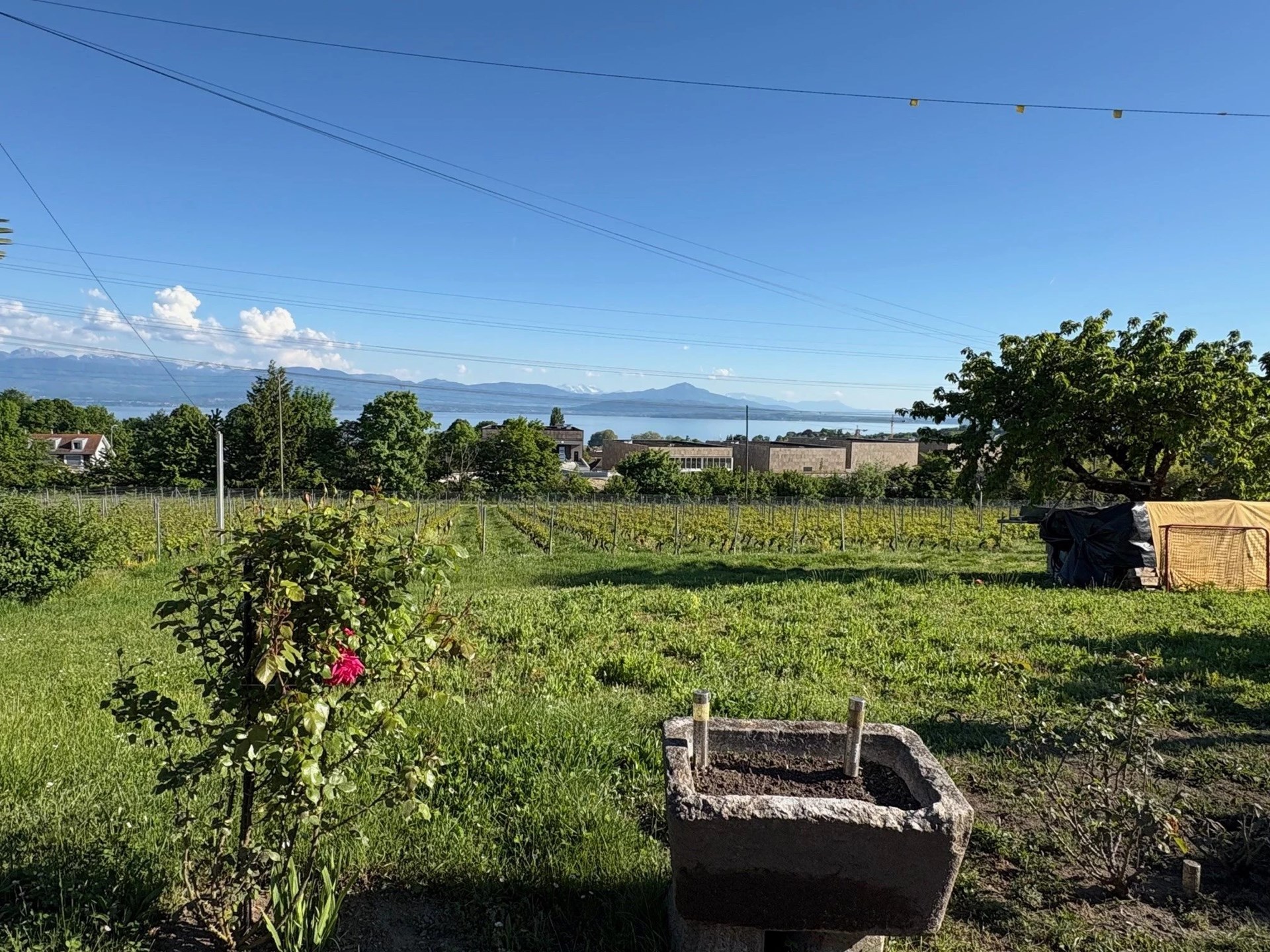 Mont-sur-Rolle