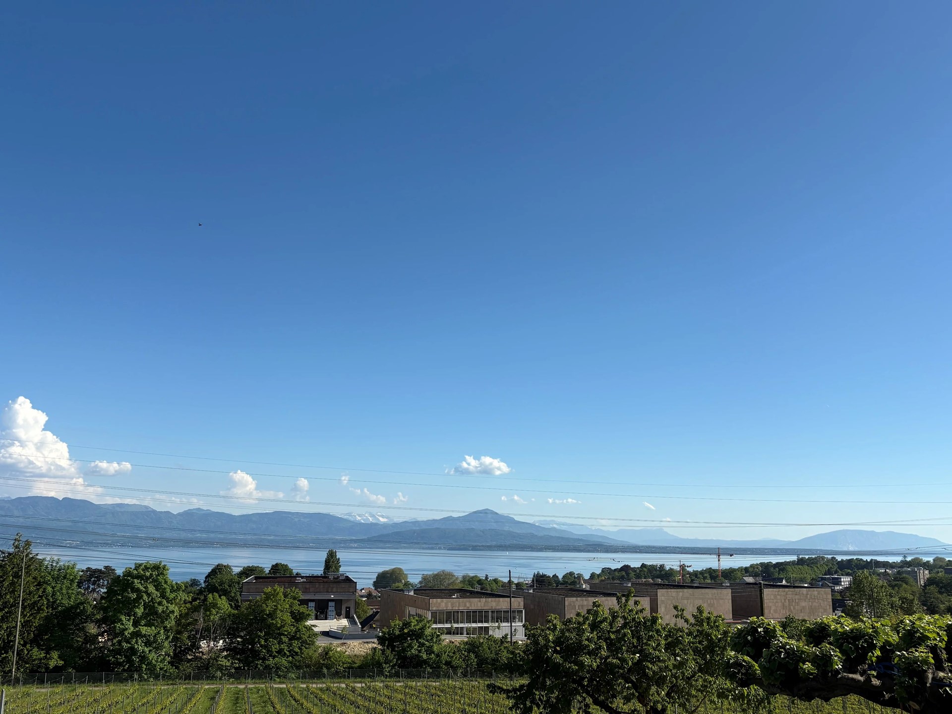 Mont-sur-Rolle