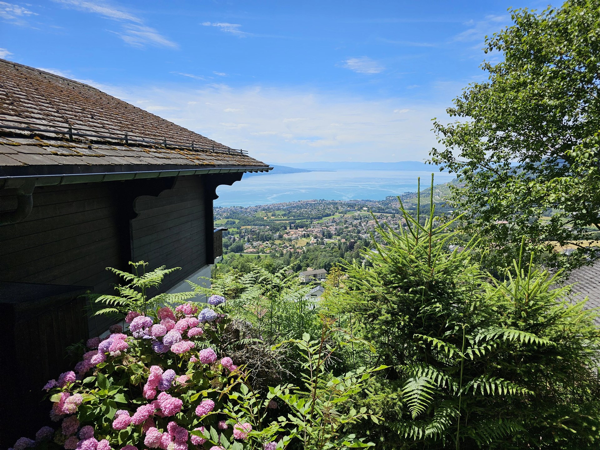 Blonay-Saint-Légier